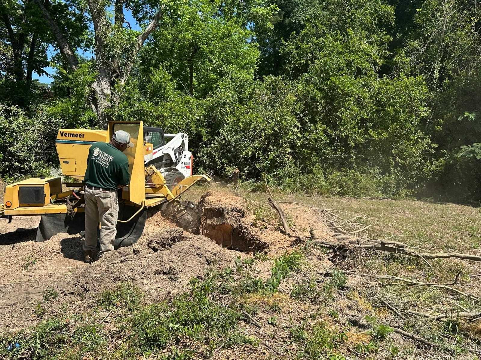 El Costeño Tree Service LLC